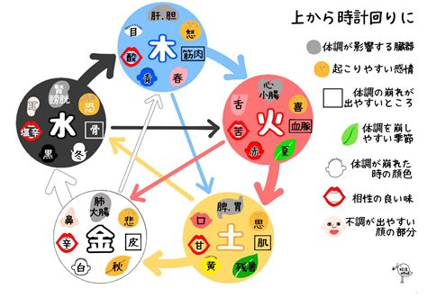 木五行|五行思想